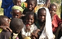 Volunteer in Cameroon