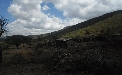 Kenya Masai Project
