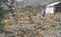 Kenya Masai Project - Community voluntering