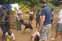 Volunteering in Malawi