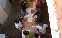 Pictures by volunteer Alex Lai