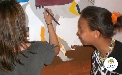 Pictures by volunteer Alex Lai