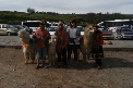 Volunteering in Peru