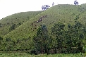 Volunteering in Uganda