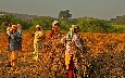 Volunteer in India