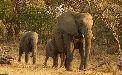 Volunteering in South Africa