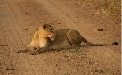 Volunteering in South Africa