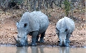 Volunteering in South Africa