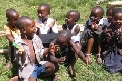 Volunteer in Uganda