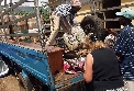 Volunteer in Uganda