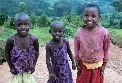 Volunteer in Uganda