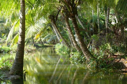 India 3 Kerala backwaters
